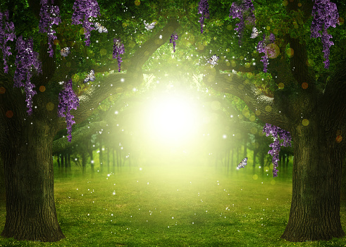 Fantasy world. Enchanted forest with beautiful butterflies, magic lights and sunlit way between trees