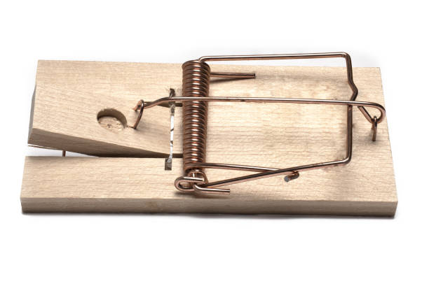 istock Closeup wood rat trap mousetrap white background 1389845547