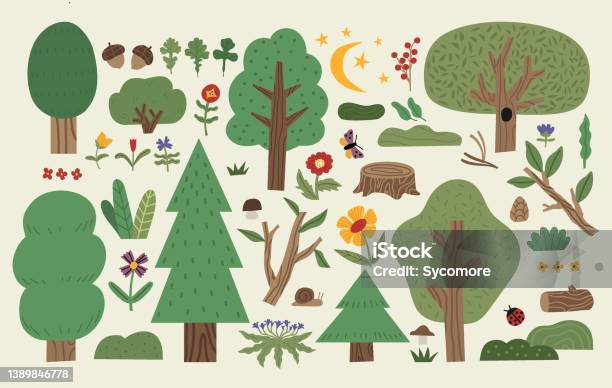 Loại cây rừng nào sẽ làm người xem thích thú và muốn biết thêm thông tin về chúng? Hãy cùng xem bức tranh đầy màu sắc này và khám phá vẻ đẹp tuyệt vời của các loại cây rừng khác nhau.