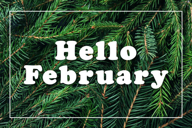 istock Hello February greeting card. Text on green fir tree branches, top view 1389846802
