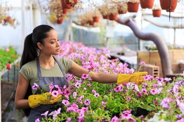 istock Asian female worker in greenhouse 1389847358