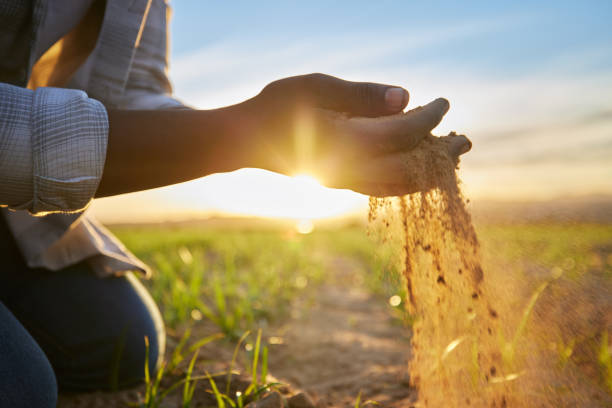 istock Cropped shot of a farmer holding soil 1389848474