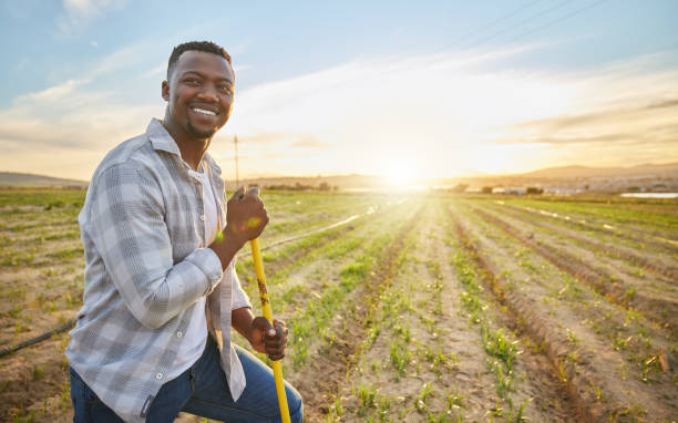 Shot of a farmer standing on a field He's connected to everything green african sunset stock pictures, royalty-free photos & images