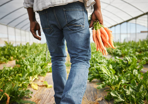 istock Rearview shot of an unrecognizable man working on his farm 1389848983
