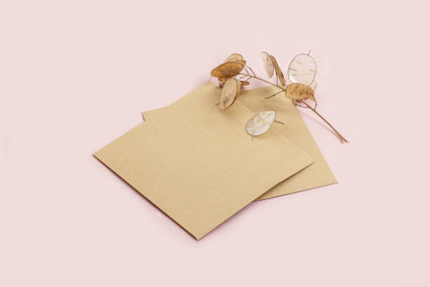 istock Mockup with square craft envelopes and dry twig on pastel pink background. Template for branding and advertising 1389851904