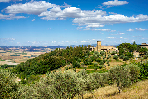 Rural landscape near Montalcino, Siena province, Tuscany, Italy, at summer. Vineyards