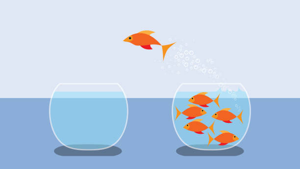 ilustraciones, imágenes clip art, dibujos animados e iconos de stock de peces de colores saltando fuera del agua. diseño plano del vector - fishbowl crowded goldfish claustrophobic
