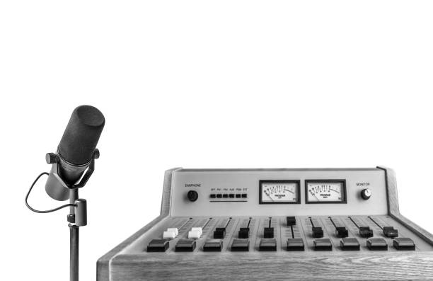 Professional microphone and sound mixer