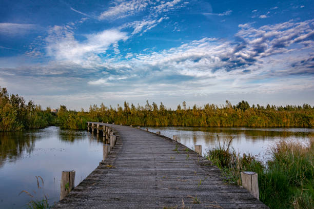 istock Beautiful pathway through the water in the nature on a blue sky day 1389862389