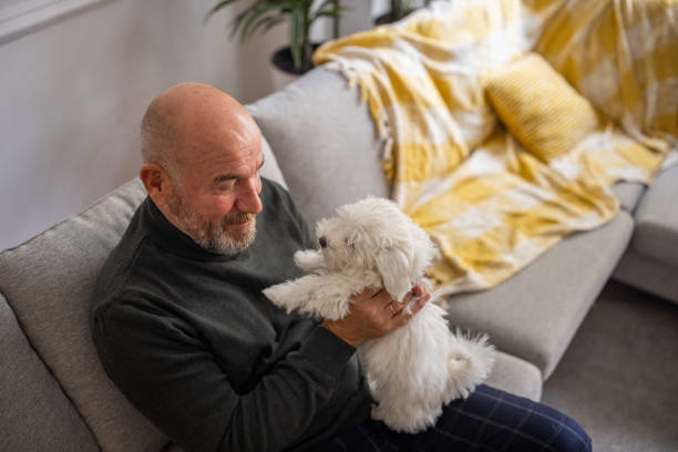 istock While sitting on the sofa Caucasian senior man petting his Maltese dog 1389863314
