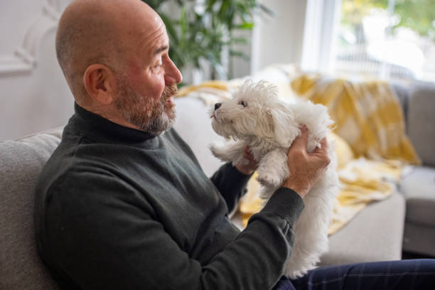 istock While sitting on the sofa Caucasian senior man petting his Maltese dog 1389863995