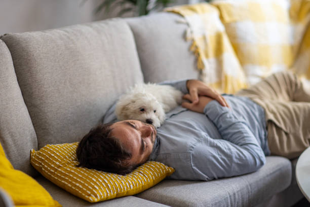 istock Caucasian man lying on the sofa and petting Maltese dog 1389863996