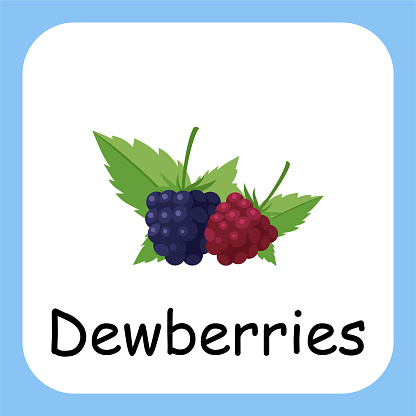 Dewberries Flat Design, Illustration for Kids, Clip Art vector flat design