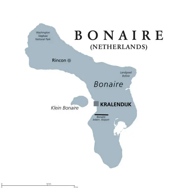 Vector illustration of Bonaire, Netherlands, gray political map, island in the Caribbean