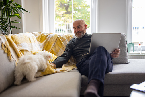 Caucasian senior man using laptop,and petting Maltese dog while working from his cozy and modern home
