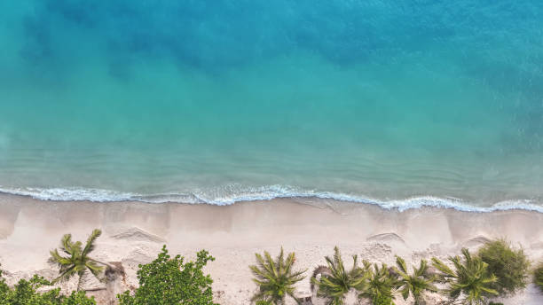 istock Summer tropical background with  Soft blue turquoise ocean wave on the beach and soft wave background. 1389866205