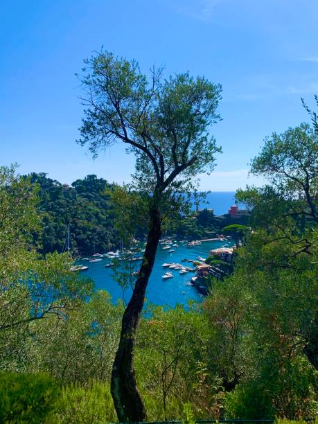 istock Portofino - Italy 1389867418