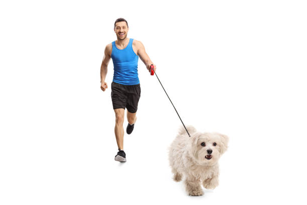 istock Smiling man jogging with a retreiver dog towards camera 1389868033
