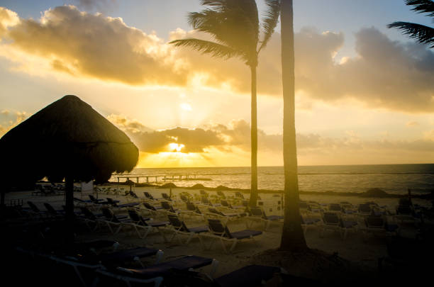 Palm trees and palapa at sunrise in Playa del Carmen during March