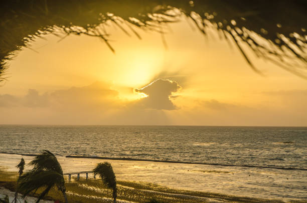 Palm trees and Caribbean sea at sunrise in Playa del Carmen during March