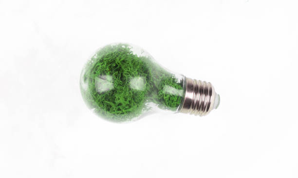 istock green light bulb with plants isolated on white background 1389873836