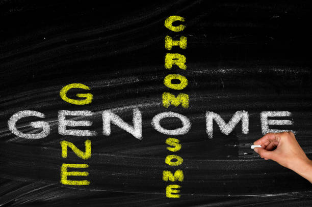 istock Genome gene and chromosome 1389878848