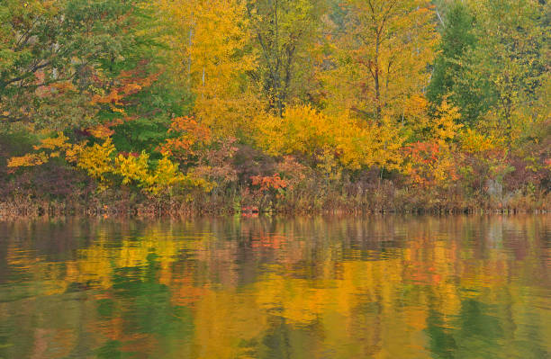 istock Autumn Reflections Hall Lake 1389880827