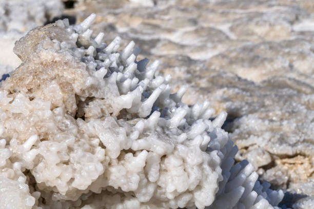 des cristaux de sel ronds de la mer morte en gros plan dans les rayons du soleil. israël - crystallization photos et images de collection