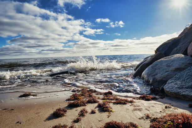 splashing waves on a sandy beach with rocks and blue sky