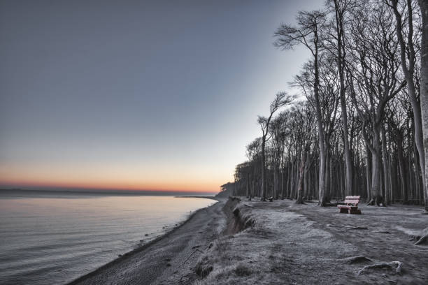 sunrise at the ghost forest in nienhagen, baltic sea germany in winter