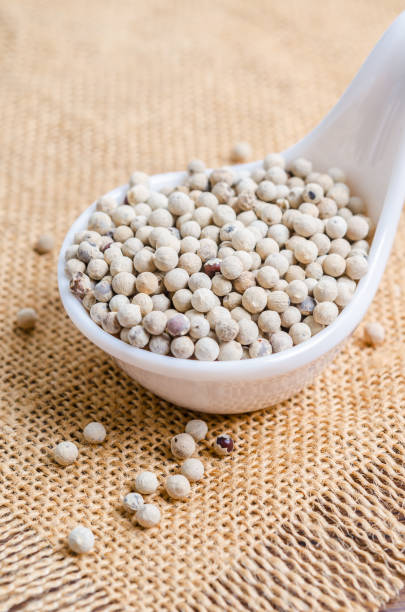 istock White pepper seeds (peppercorn) in white spoon on sack background. 1389882952
