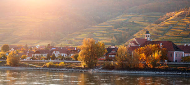 vista otoñal de un pequeño pueblo austriaco en la orilla de un río - danube valley danube river vineyard austria fotografías e imágenes de stock