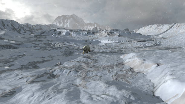 istock Polar bear walking alone in snowy arctic landscape, aerial 1389883756