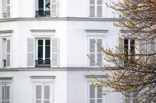 Paris. white facade of a beautiful house and a tree branch in the foreground\