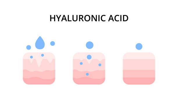 Skin and drops of serum with hyaluronic acid Skin and drops of serum with hyaluronic acid. Skincare, beauty treatment, essence. For topics like moisturizer, hydration, cosmetics leaf epidermis stock illustrations