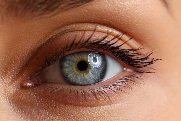 istock Eye health and care 1389885435