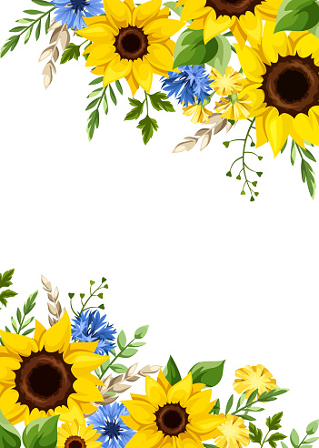 Greeting or invitation card design with blue and yellow sunflowers, dandelion flowers, cornflowers, ears of wheat, and green leaves. Vector illustration