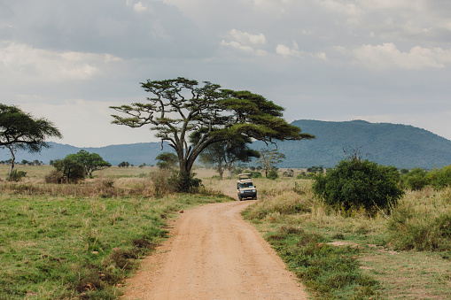 4X4 modified safari car driving the gravel road with view of the savannah and mountains