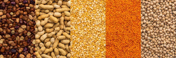 istock Different types of legumes 1389890742