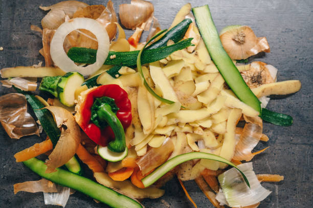 Biodegradable food waste from vegetables ready for composting stock photo