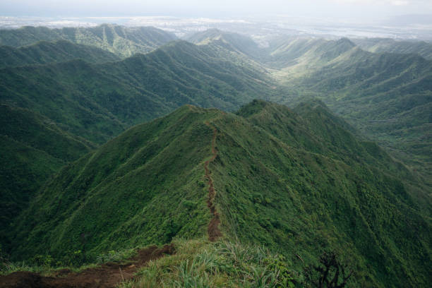 sendero de tierra en el inicio del sendero del valle de moanalua. - escalera hacia el cielo fotografías e imágenes de stock