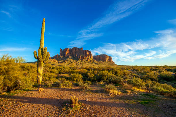 istock Superstition Mountains and Saguaro Cactus 1389893773