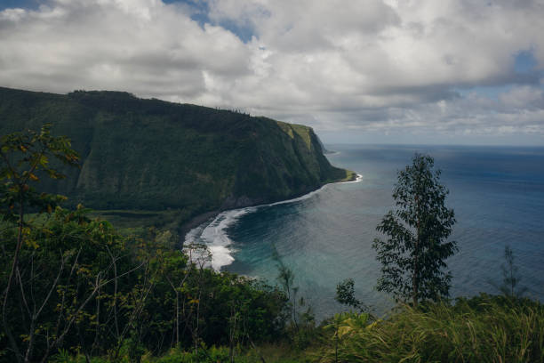 istock Waipio Valley view in Big island, Hawaii 1389893899
