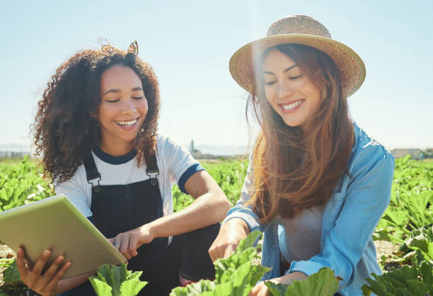 istock Shot of two female farmers checking their crops using a digital tablet 1389894975