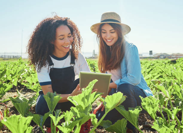 istock Shot of two female farmers checking their crops using a digital tablet 1389894979