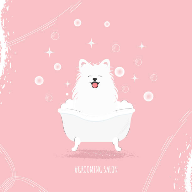 ilustrações de stock, clip art, desenhos animados e ícones de white dog 0604 - dog bathtub washing puppy