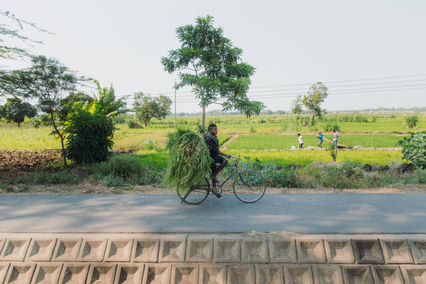October 8, 2020 - View from a car of a man riding a bicycle full of a grass in Tanzania, East Africa