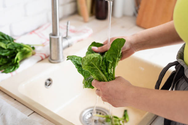 istock Woman Washing spinach in the Kitchen Sink 1389896671