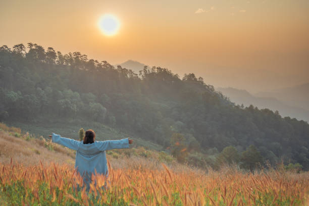 Rear view of a happy woman in the golden meadow field at sunrise time. stock photo