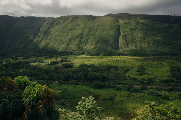 istock Waipio Valley view in Big island, Hawaii. 1389898109